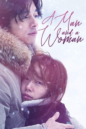 A Man and A Woman (2016) Hindi Dual Audio | Hindi Dubbed Movie BluRay 400MB