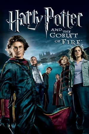 Fire & Ice (2008) Hindi Dual Audio | Hindi Dubbed Movie BluRay [1.1GB]