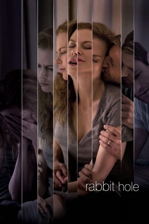 Rabbit Hole (2010) Hindi Dual Audio | Hindi Dubbed Movie BluRay 300MB