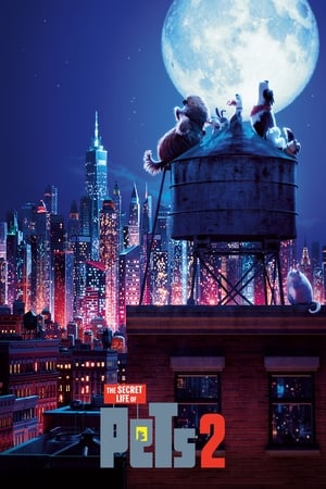 The Secret Life of Pets 2 (2019) Hindi (Original) Dual Audio | Hindi Dubbed Movie BluRay 300MB